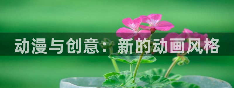 动漫之家其它动漫