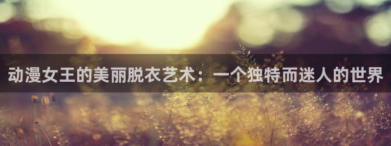 动漫之家社区版下载